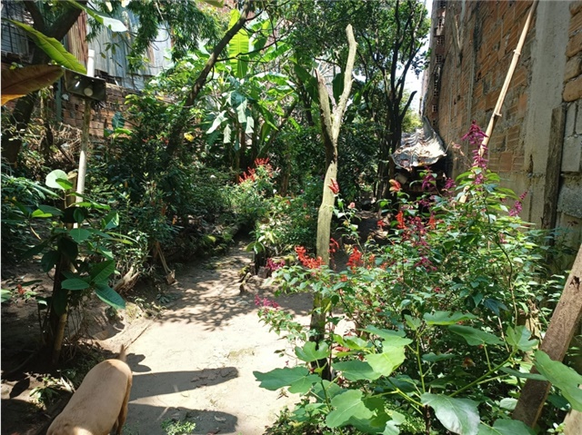 Casa de 5 alcobas en venta en Primavera, Envigado, 220 m² · foto 20 de 24