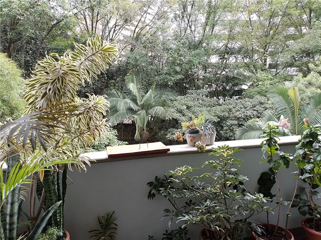 Apartamento de 2 alcobas en venta en San Lucas, Medellín, 84 m² · foto 15 de 15