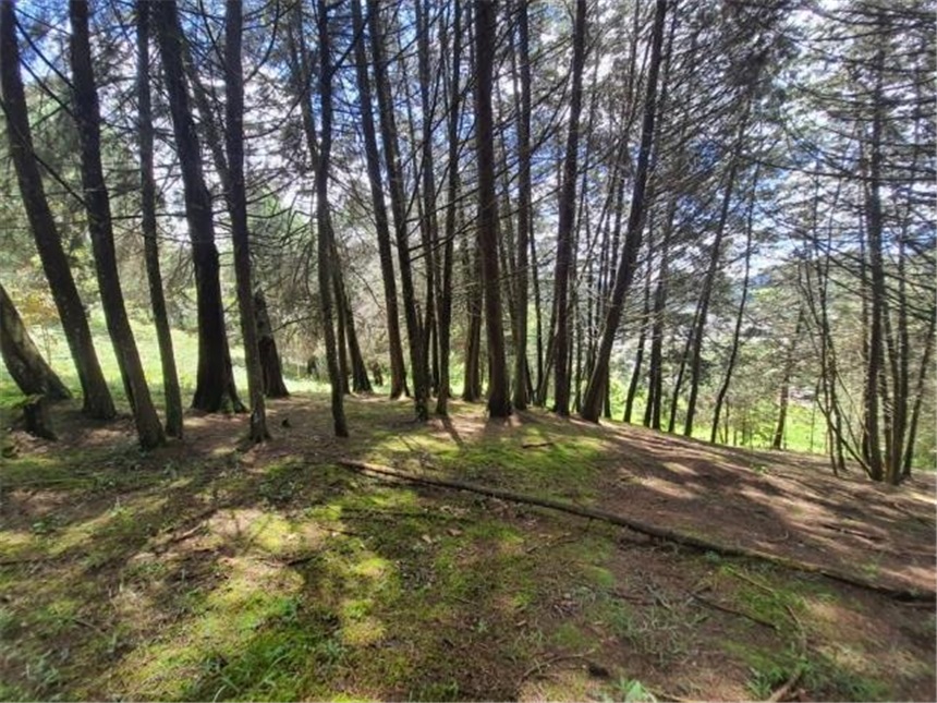 Lote en venta en Don Diego, El Retiro, 9644 m² · foto 14 de 21