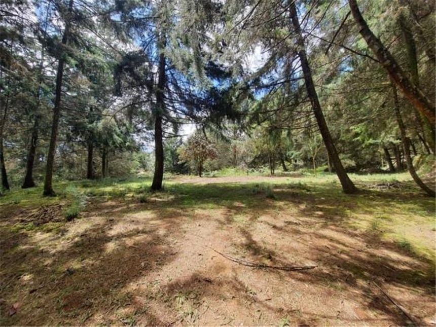 Lote en venta en Don Diego, El Retiro, 9644 m² · foto 17 de 21