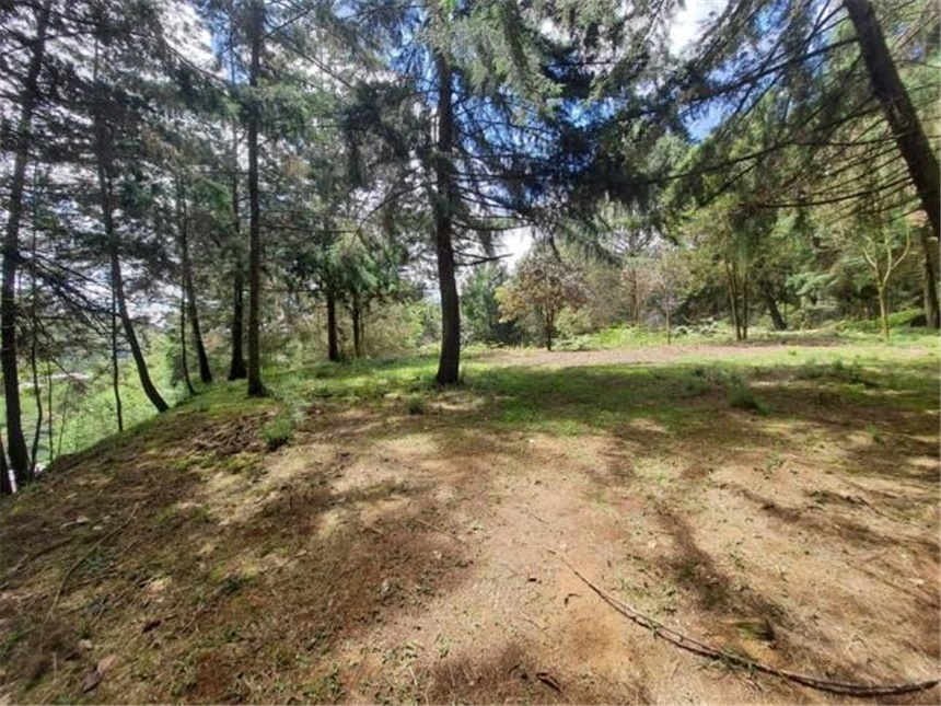 Lote en venta en Don Diego, El Retiro, 9644 m² · foto 13 de 21