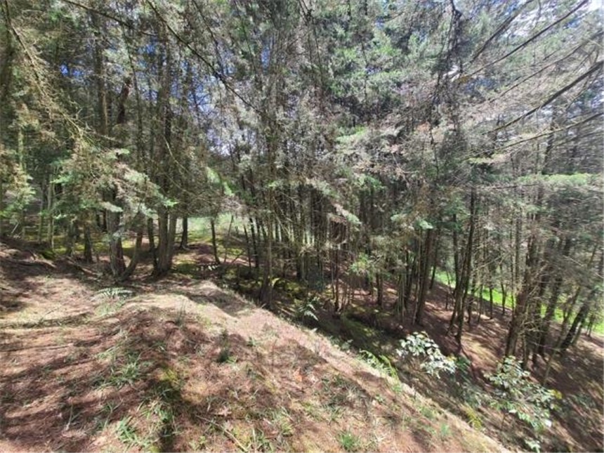 Lote en venta en Don Diego, El Retiro, 9644 m² · foto 16 de 21