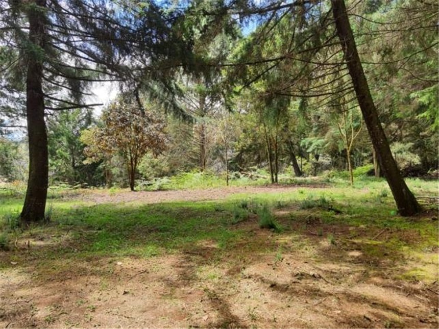 Lote en venta en Don Diego, El Retiro, 9644 m² · foto 18 de 21