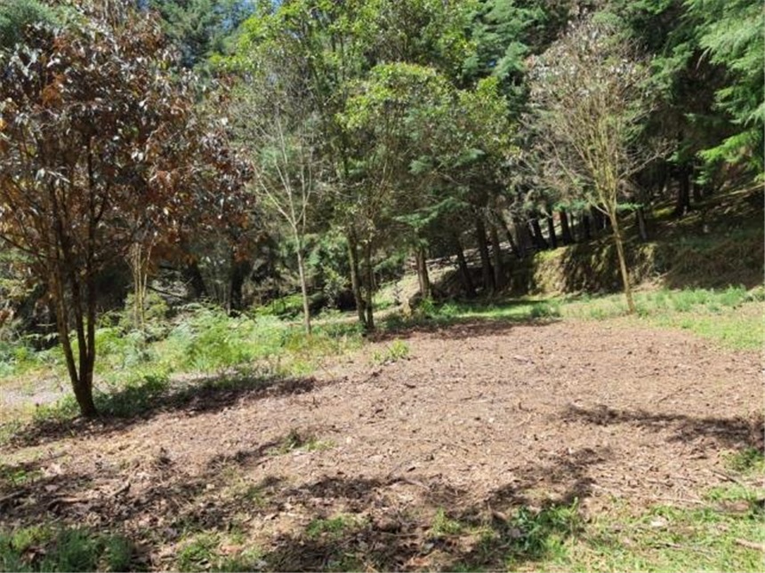 Lote en venta en Don Diego, El Retiro, 9644 m² · foto 19 de 21