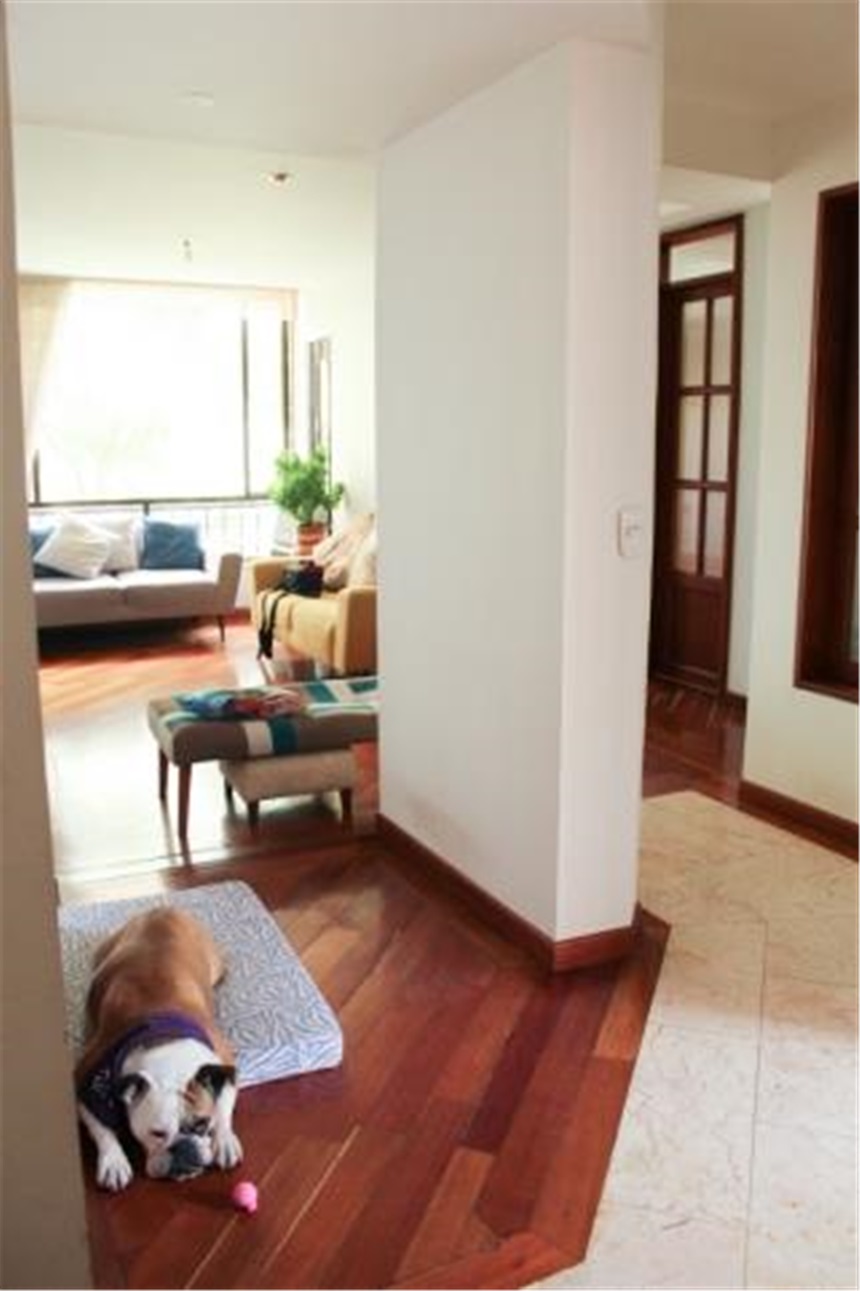 Piso – Bogotá, Pasadena, Localidad Suba