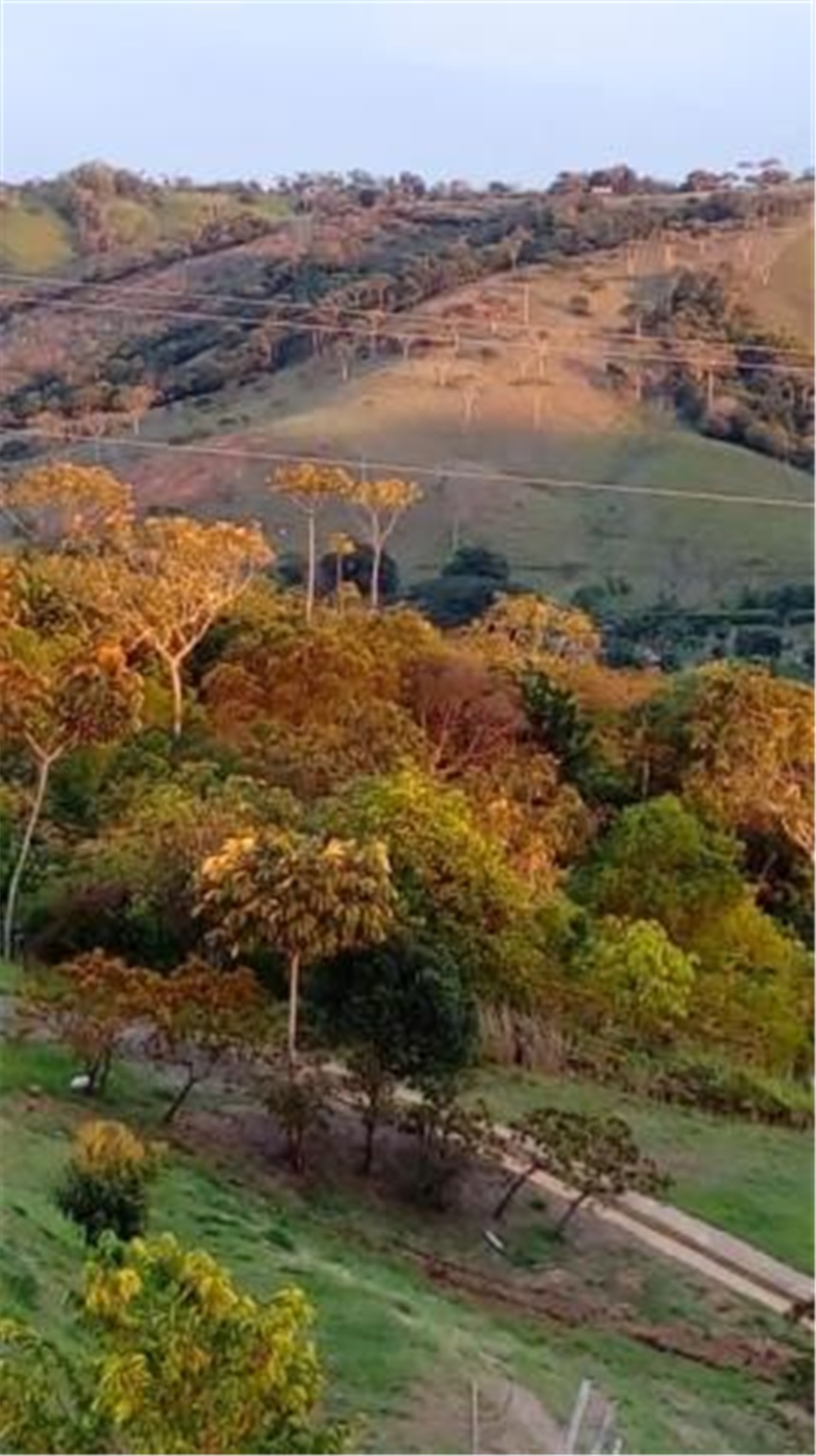 Lote en venta en Potrerito, Jamundí, 1500 m² · foto 21 de 24