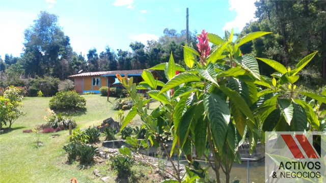 Finca en venta en La Hondita, Guarne, 8200 m² · foto 6 de 24