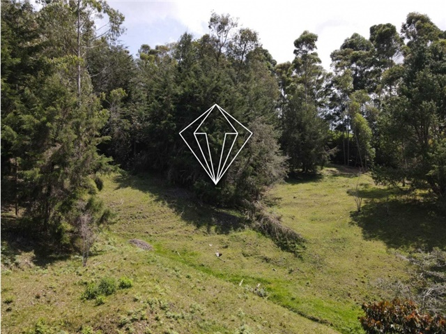 Lote en venta en La Ceja, 18000 m² · foto 3 de 24