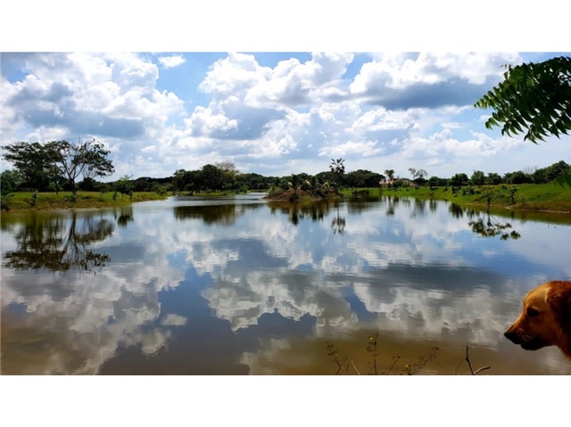 Lote en venta en Punta Canoa, Cartagena, 2730 m² · foto 15 de 21