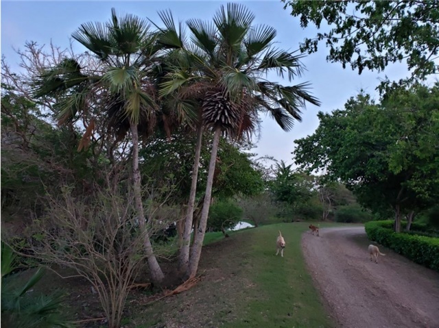 Lote en venta en Punta Canoa, Cartagena, 2730 m² · foto 16 de 21