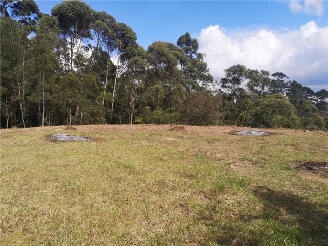 Land in El porvenir for Sale