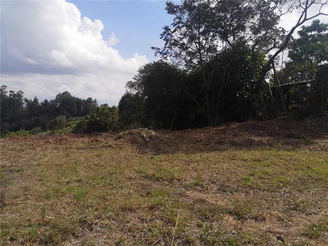 Land in El porvenir for Sale - 2