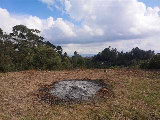 Land in El porvenir for Sale - 3