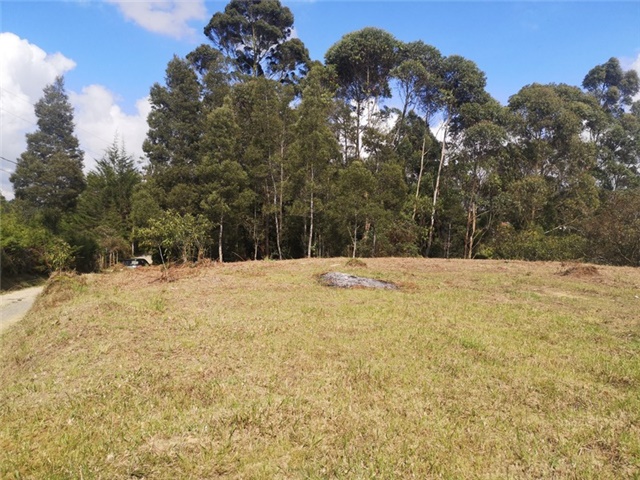 Land in El porvenir for Sale - 4