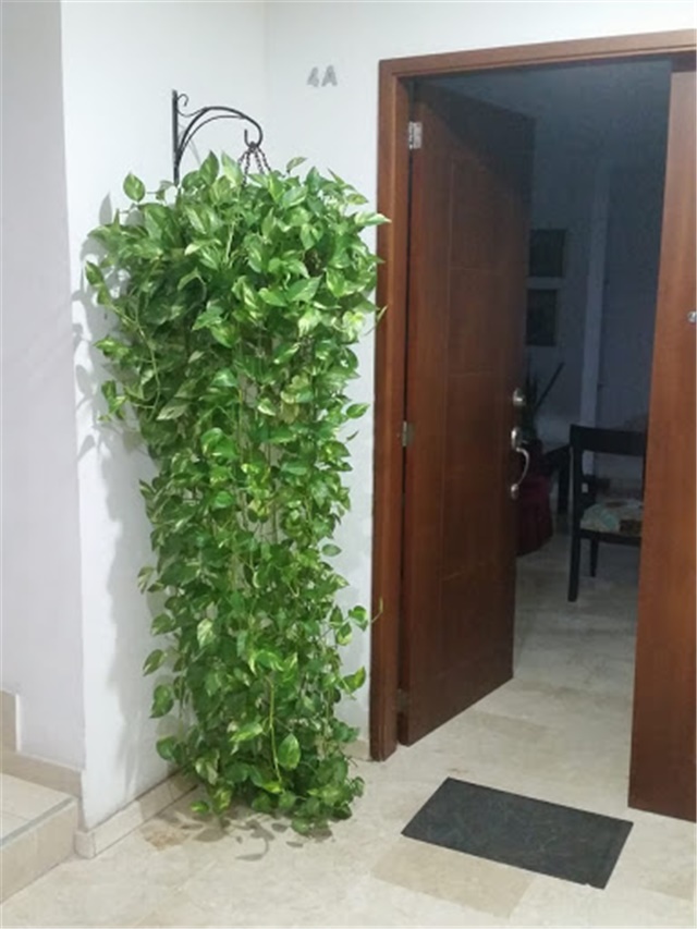 Apartamento en arriendo en Manga, Cartagena · foto 4 de 7