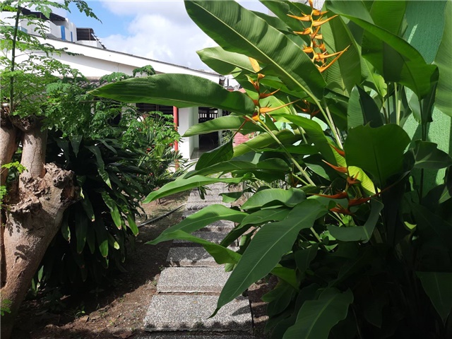 Casa en venta en Centro, Montería · foto 16 de 16