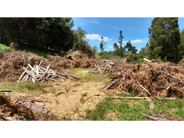 Lote en venta en Loma Del Escobero, Envigado, 1100 m² · foto 5 de 24