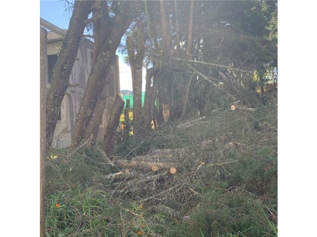 Lote en venta en Loma Del Escobero, Envigado, 1100 m² · foto 18 de 24