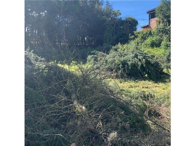 Lote en venta en Loma Del Escobero, Envigado, 1100 m² · foto 20 de 24