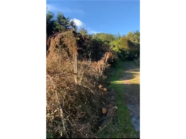 Lote en venta en Loma Del Escobero, Envigado, 1100 m² · foto 21 de 24