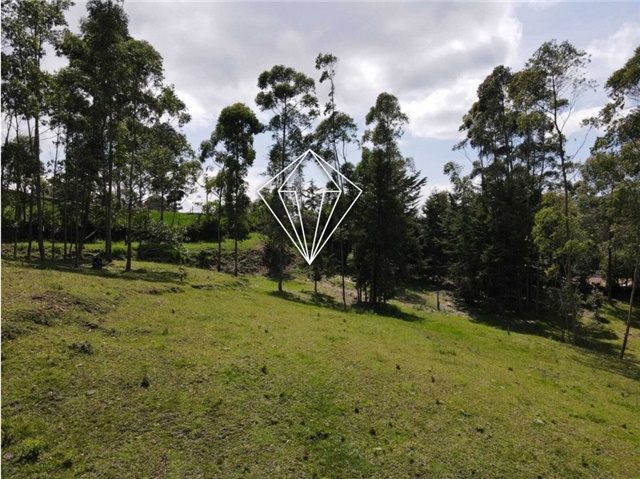 Lote en venta en La Ceja, 18000 m² · foto 5 de 24