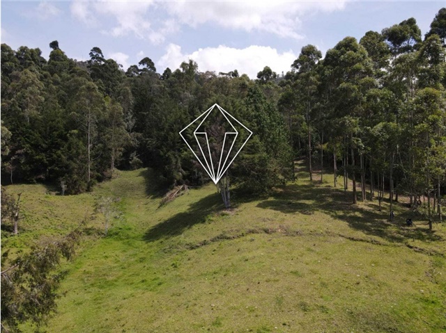 Lote en venta en La Ceja, 18000 m² · foto 6 de 24