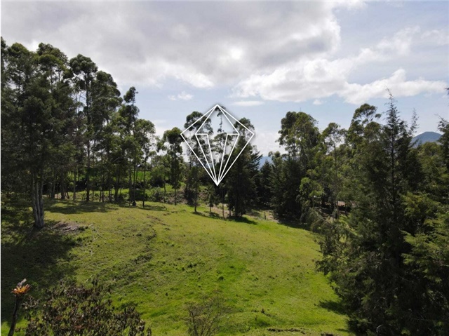 Lote en venta en La Ceja, 18000 m² · foto 8 de 24