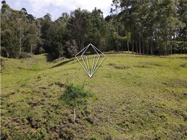 Lote en venta en La Ceja, 18000 m² · foto 9 de 24
