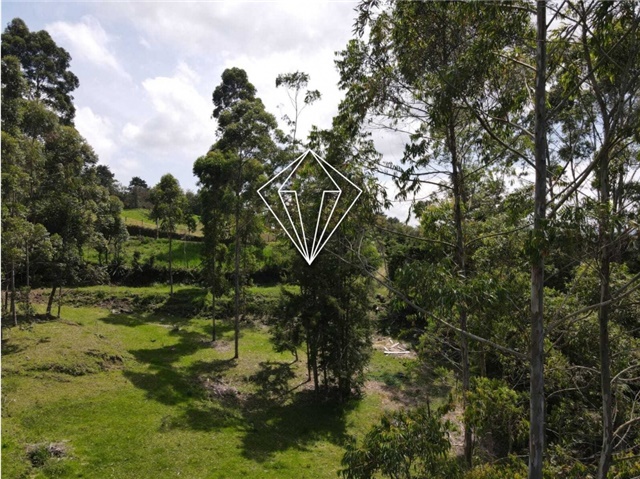 Lote en venta en La Ceja, 18000 m² · foto 12 de 24