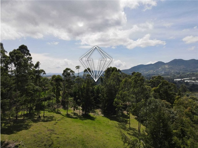 Lote en venta en La Ceja, 18000 m² · foto 18 de 24