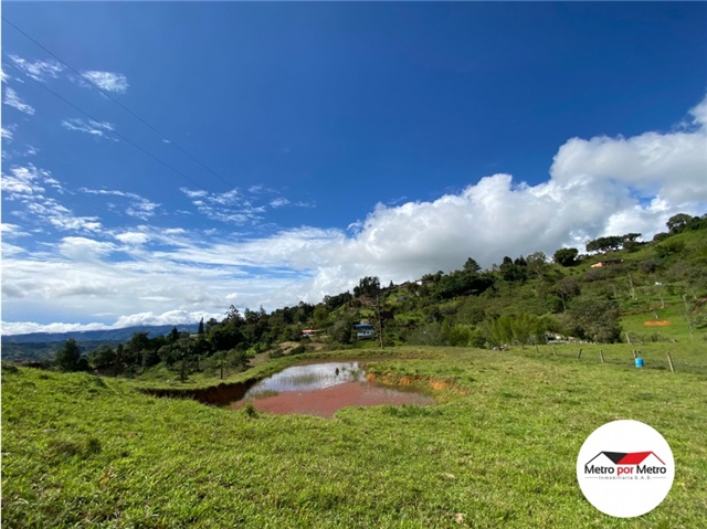 Piso – Dagua - Vista 4