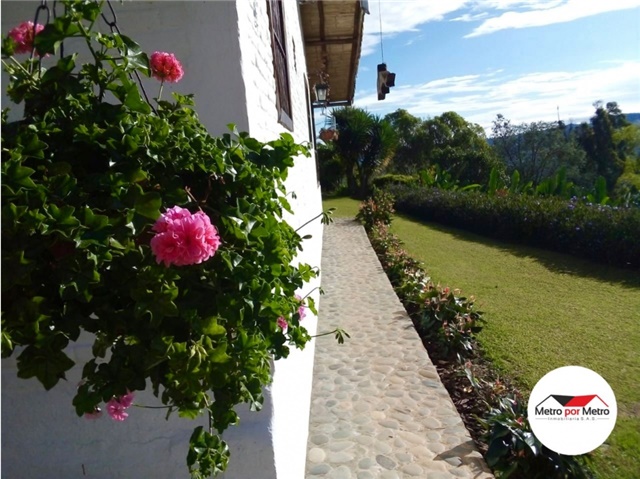 Finca en Venta - Vista 4