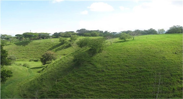 Lote en Arriendo - Vista 2