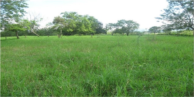 Lote en Arriendo - Vista 3
