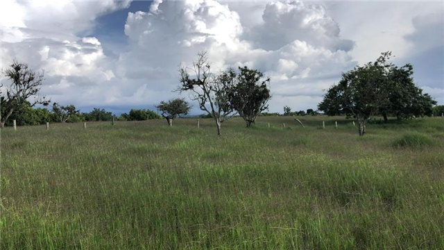 Lote en Arriendo - Vista 4