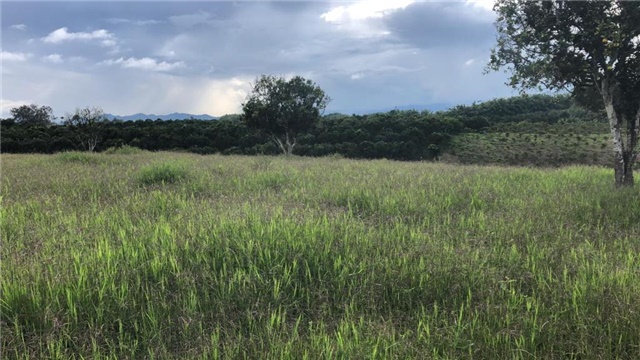 Lote en Arriendo - Vista 5