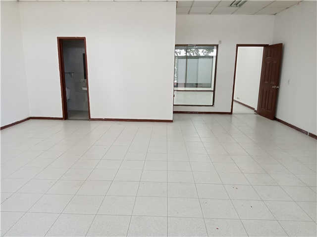 Local en Arriendo - Más