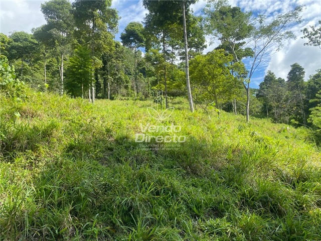 Finca en Venta – pohled 2