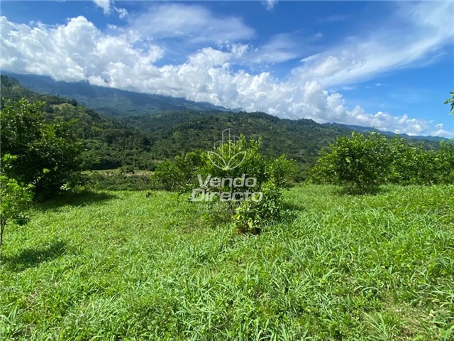 Finca en Venta – pohled 3