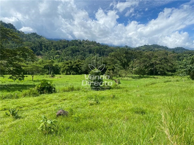 Finca en Venta – pohled 4