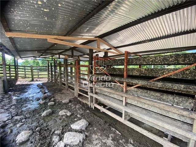 Finca en Venta – pohled 6