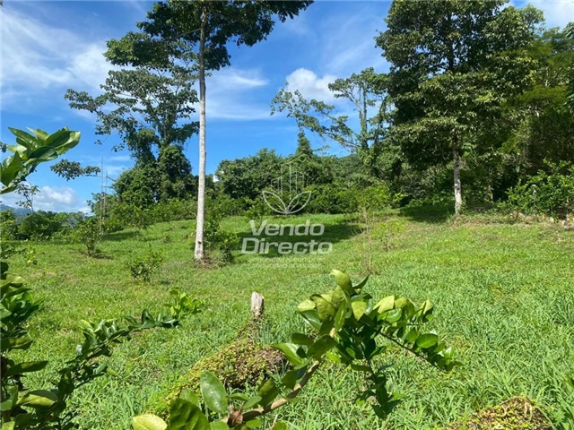 Finca en Venta – další