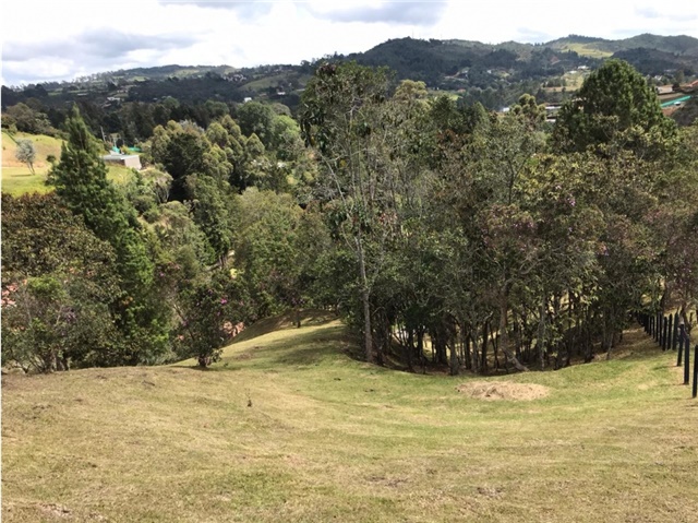 Lote en Venta – další