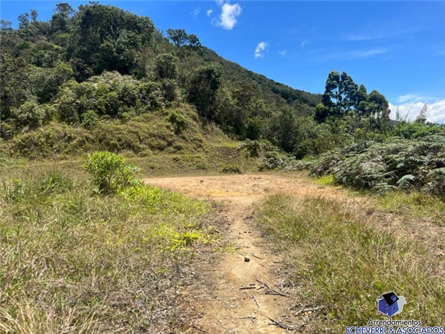 Lote en venta en El Centro, El Carmen de Viboral, 10000 m² · foto 2 de 4