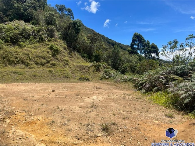 Lote en venta en El Centro, El Carmen de Viboral, 10000 m² · foto 4 de 4
