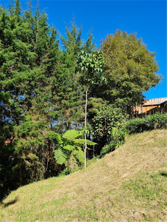 Casa Campestre en Venta – pohled 5