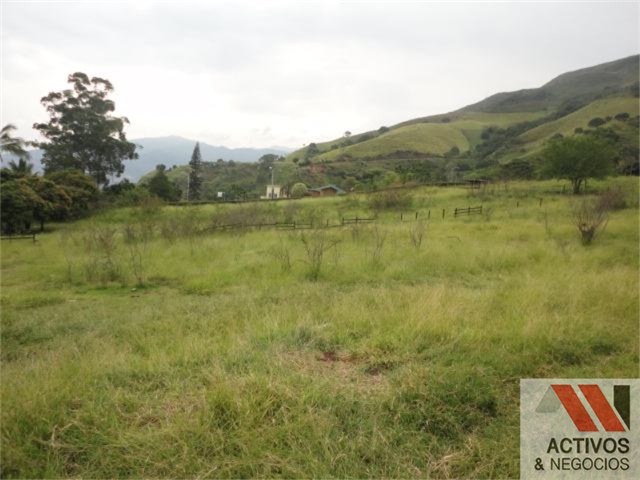 Lote en Venta - More