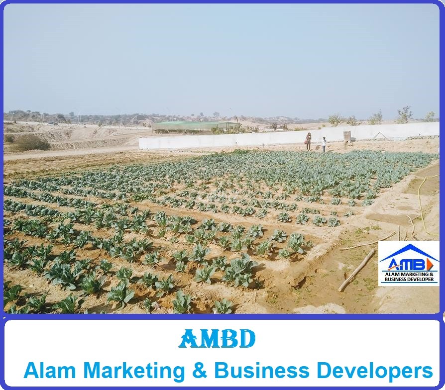 2 Kanal Agricultural Land for Sale in Green Oaks Agro Farm 2 Kanal