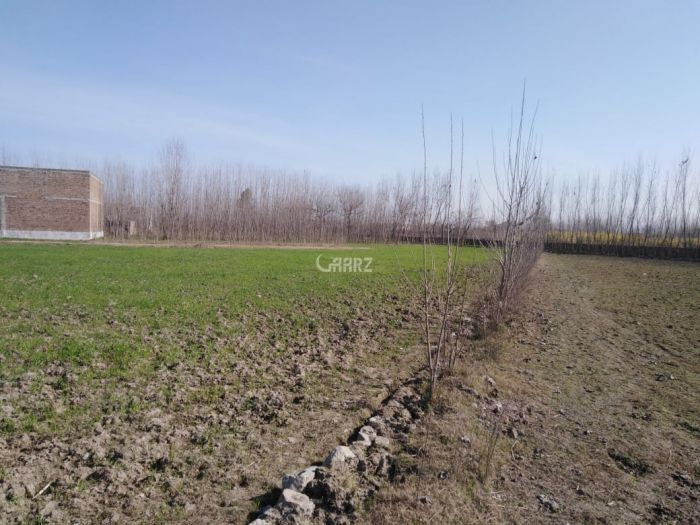 1000 Square Yard Agricultural Land for Sale in Karachi Gadap Town