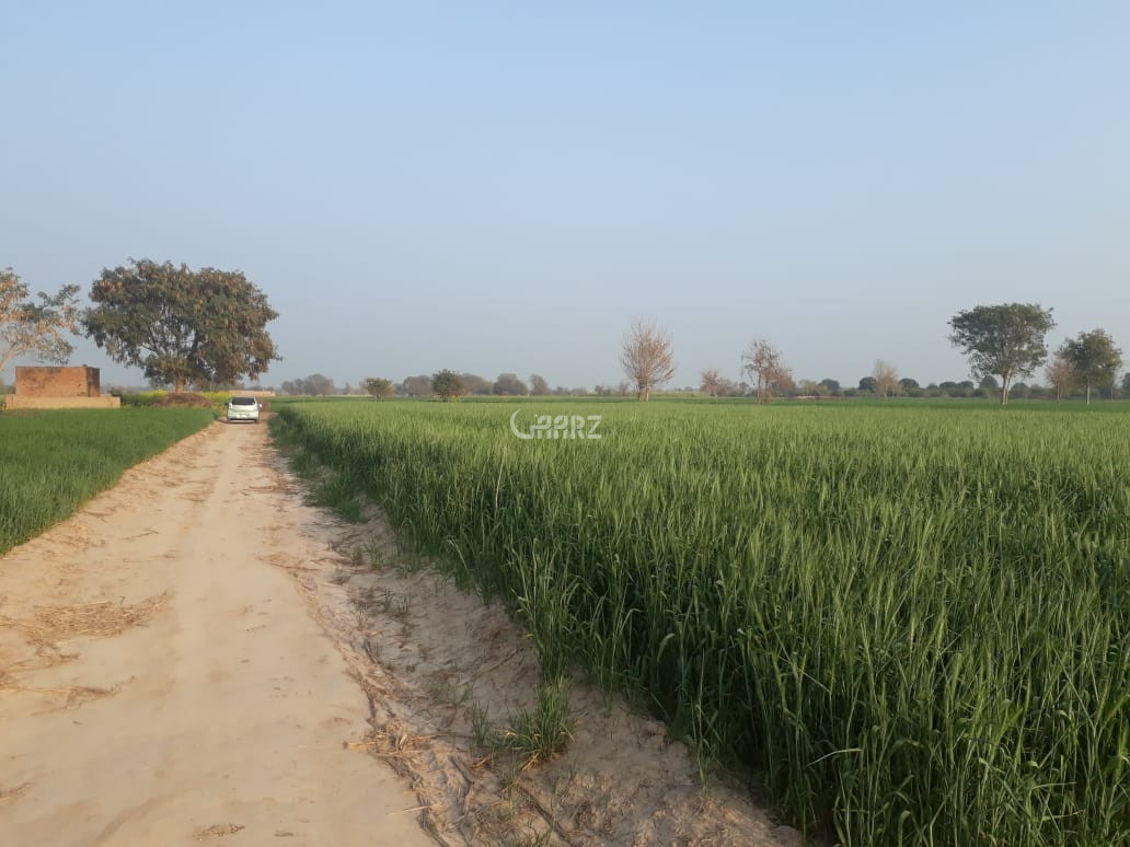784 Marla Agricultural Land for Sale in Bahawalpur Chak6dnb, Tehsil
